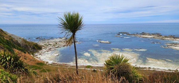 Kaikōura coastal view from a hill