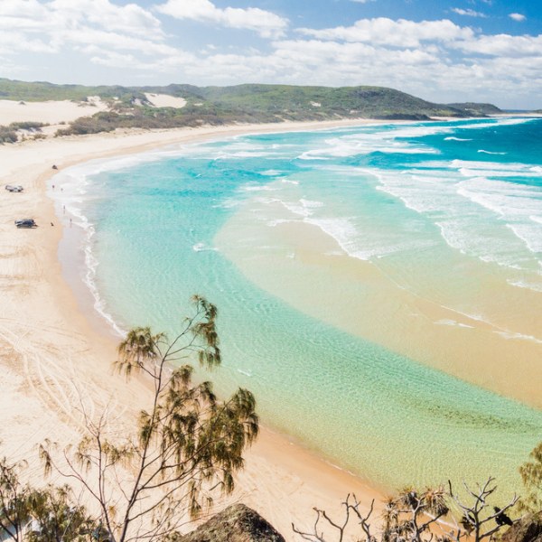 Fraser Island x1   Resized