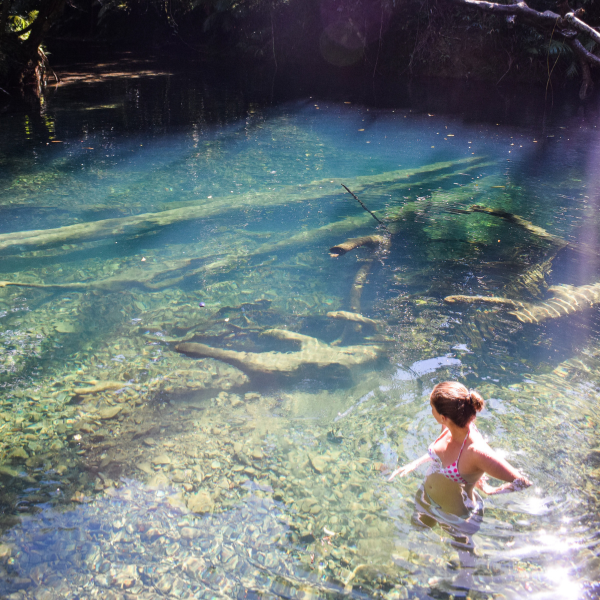 @blokewithabackpack Daintree Rainforest June2018 AUS   Resized