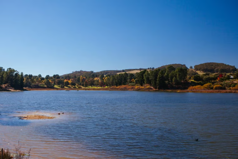 Melbourne to cairns beechwood  ResizedImageWzc2MCw1MDdd