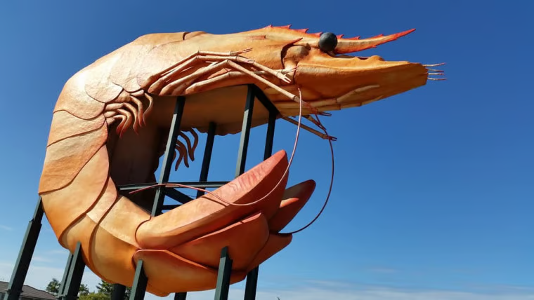Melbourne to cairns the big prawn  ResizedImageWzc2MCw0Mjhd (1)