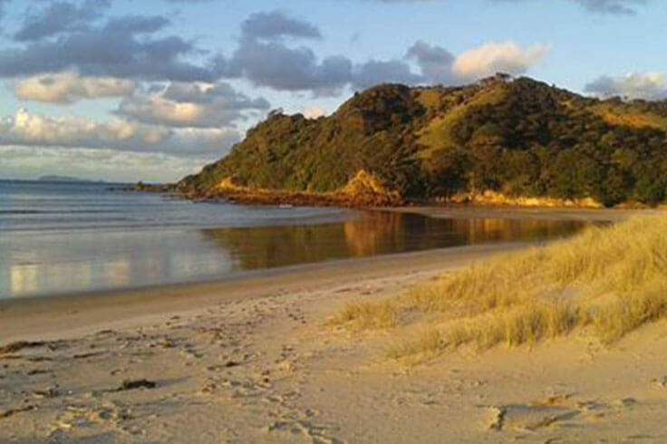 Waikawau Bay Actual Sizing