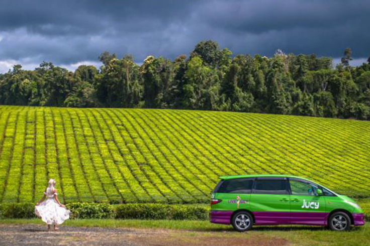 top 5 reasons to hire from jucy in australia 4 Girl looking out a field with a JUCY campervan