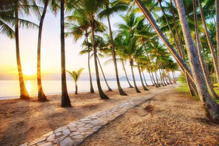 10 must visit beaches in australia 1 Palm tree lined beach in Australia