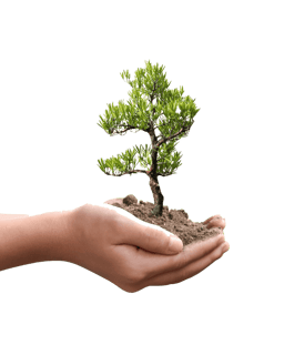 Carbon offset - $1.50 per day at checkout Carbon offset - $1.50 per day at checkout