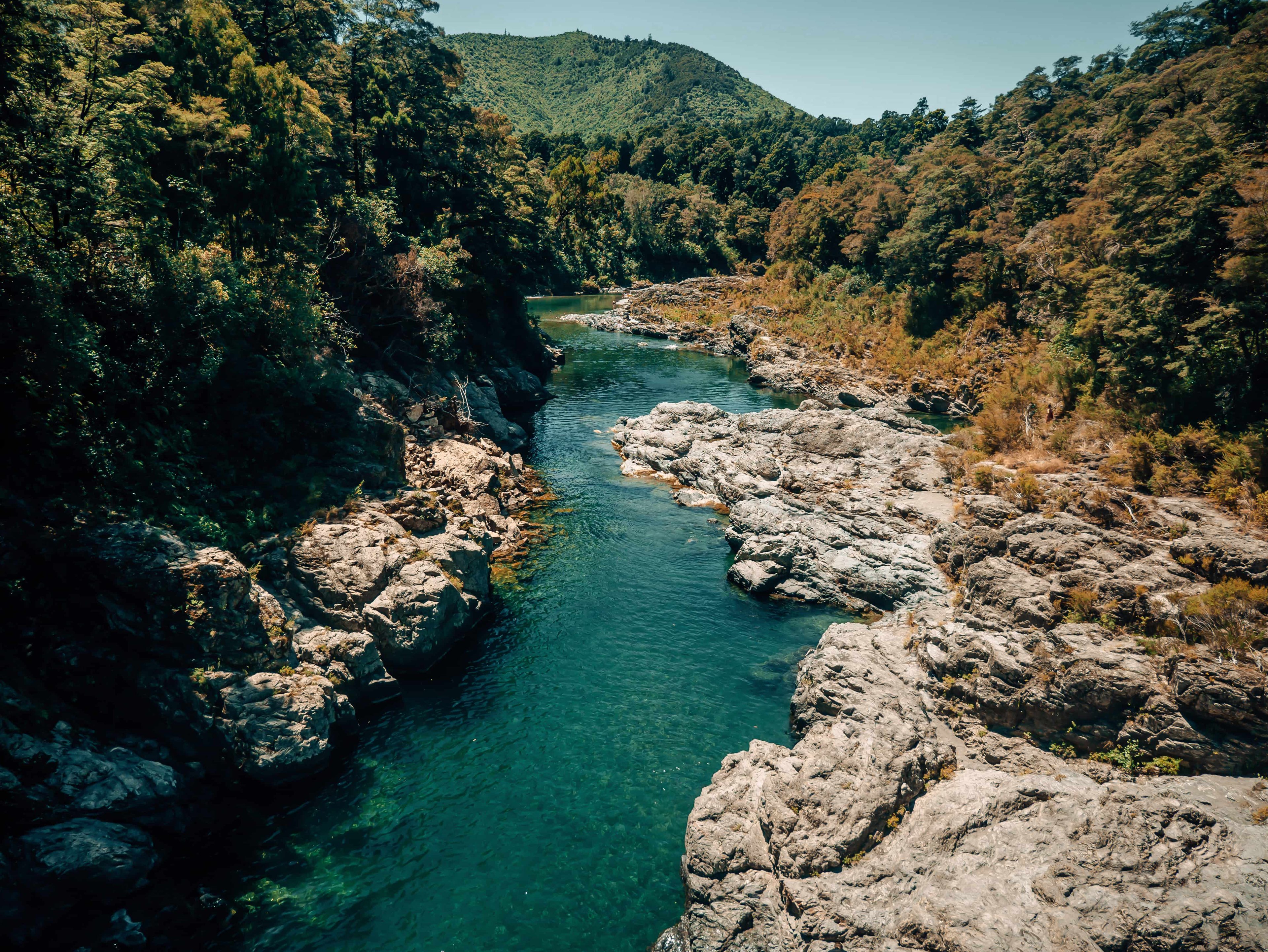 Pelorus River S Island Blog LOTR 20221026 (1)
