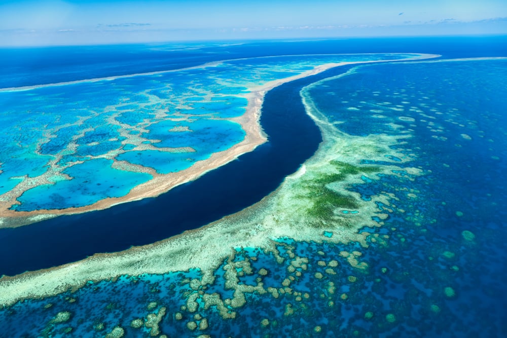 The Great Barrier Reef (1)