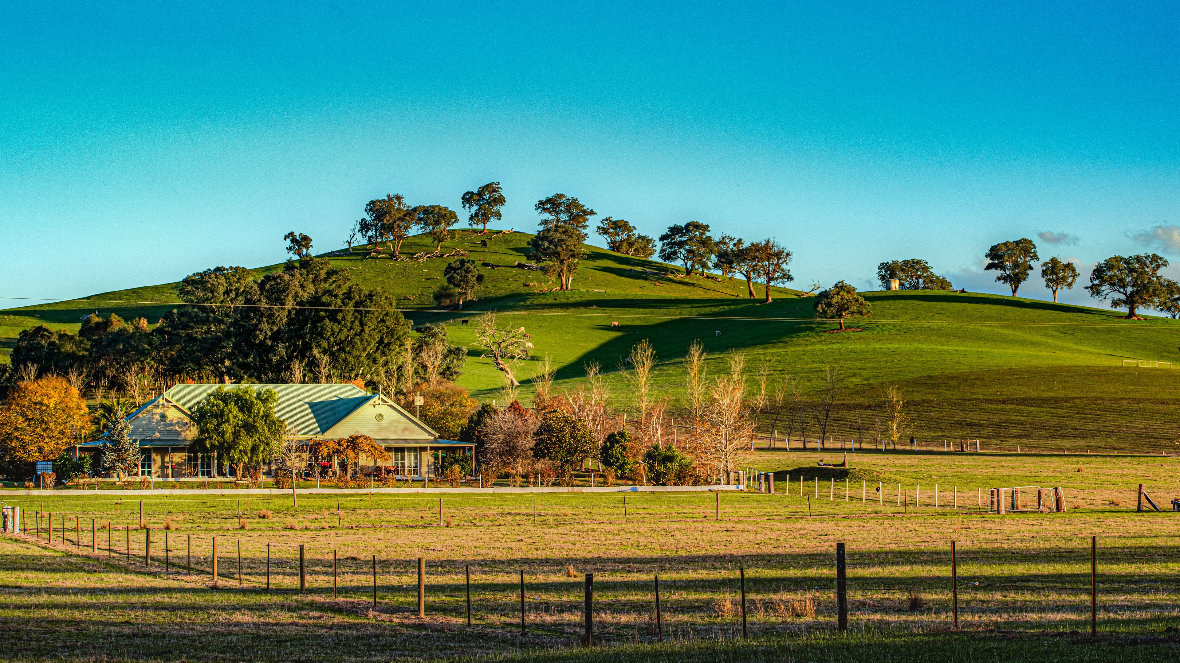 Yarra Valley Wineries