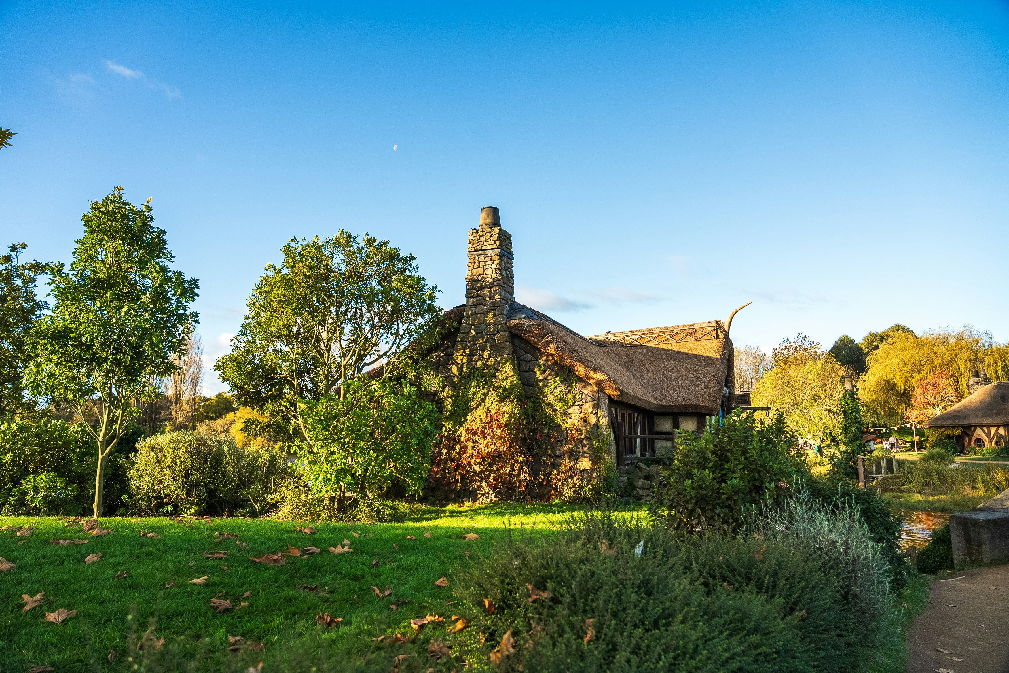 jinhui chen PGtS5f5zB5k unsplash