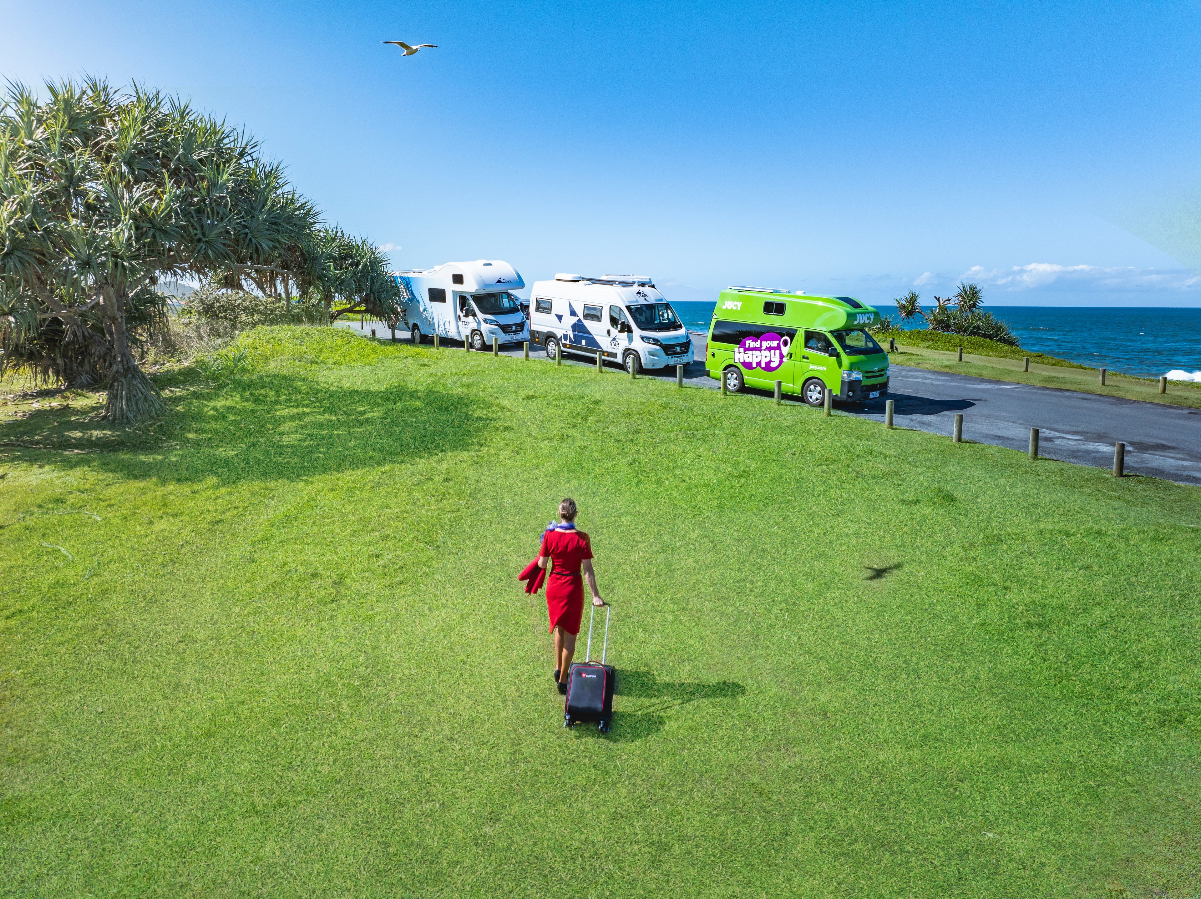 20241124JUCY VIRGIN ROBMULALLY DJI 20241124153722 0020 D (1)