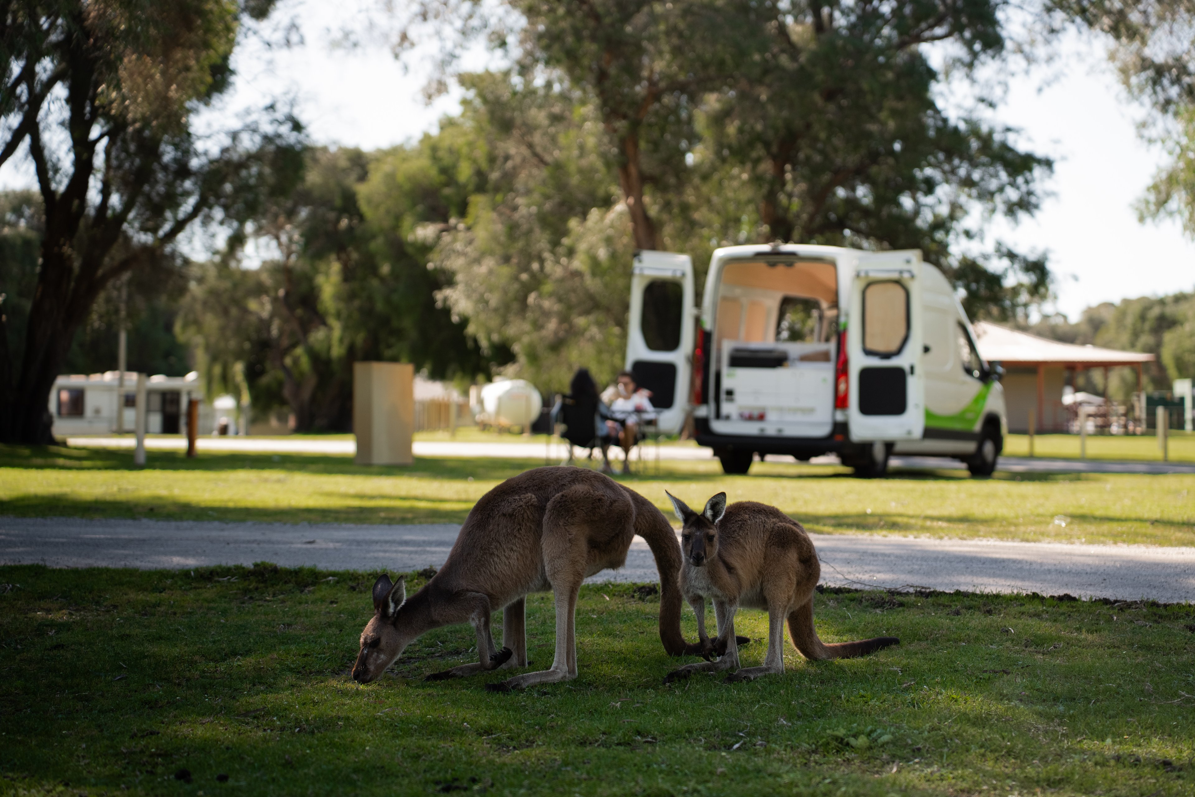 Roady South West WA August 2025 – BIG4 Denmark Ocean Beach Holiday Park (16)